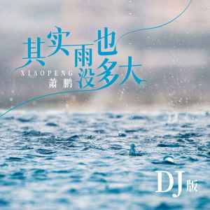 蕭鵬的專輯其實雨也沒多大（DJ版）