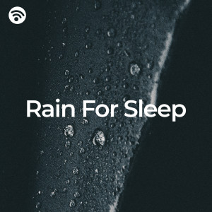 收聽Rain Sleep Sounds的Mellow Raindrop Melodies歌詞歌曲