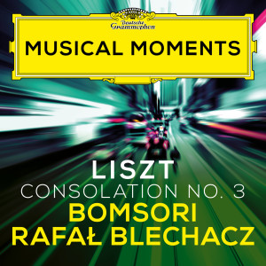 Liszt: Consolations, S. 172: No. 3 Lento placido in D Flat Major (Transcr. Milstein for Violin and Piano) (Musical Moments)