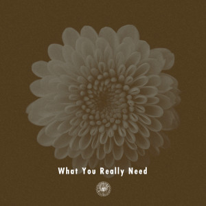 Album What You Really Need (feat. Miraa May) from AmPm