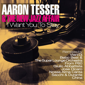 Listen to I Want You to Stay (From P60 Remix) song with lyrics from Aaron Tesser