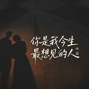 Album 你是我今生最想见的人 from 田园