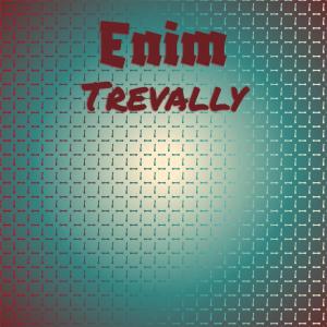 Listen to Tawny Biscotin song with lyrics from Jehn Goun