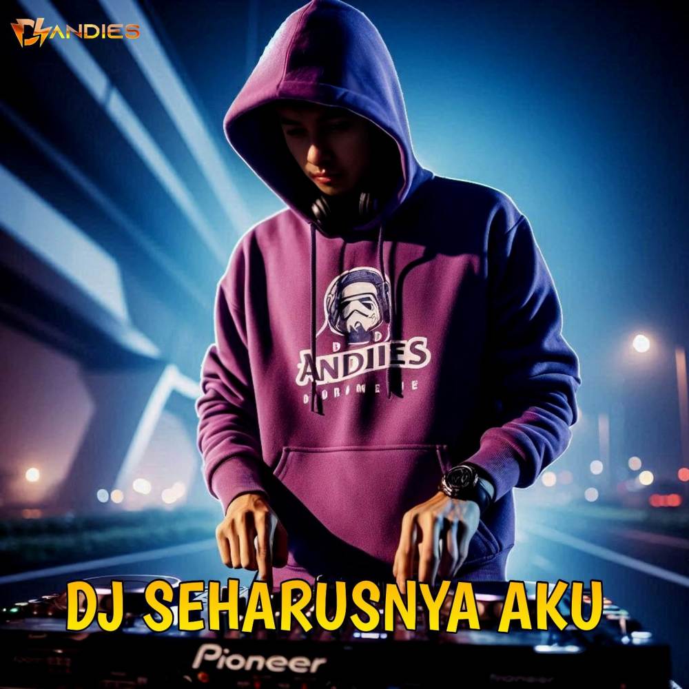 DJ SEHARUSNYA AKU