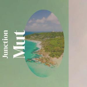 Album Junction Mut from Various