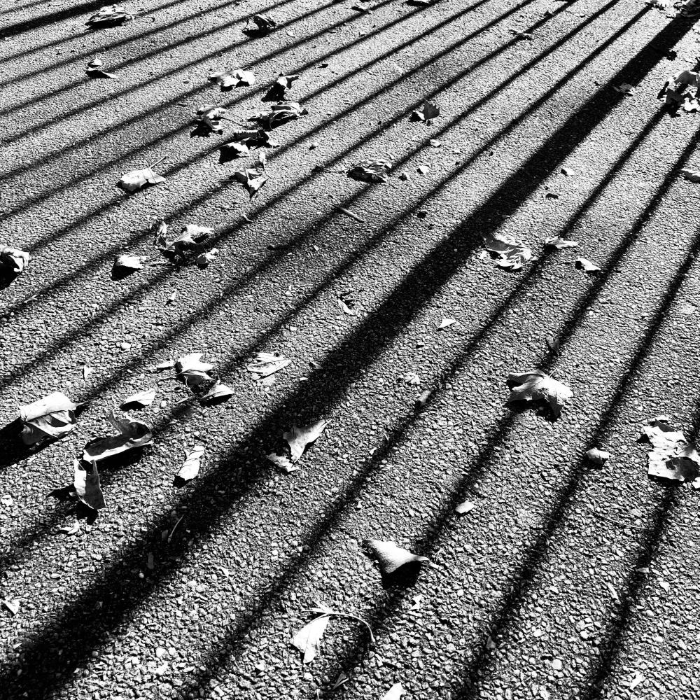 Resolution (23.11.03.11.03)