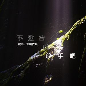 Dengarkan lagu 不适合就放手吧 nyanyian 支嘎依其 dengan lirik