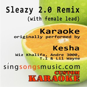 收聽Custom Karaoke的Sleazy 2.0 Remix (Get Sleazier) [with Female Lead] [Originally Performed By Kesha, Wiz Khalifa, Andre 3000, T.i & Lil Wayne] [Karaoke Audio Version] (Explicit)歌詞歌曲