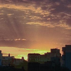 Album Voices of time from 