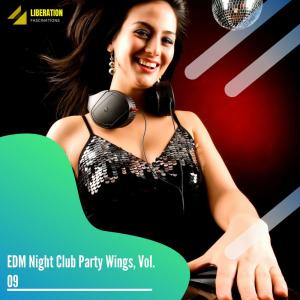 อัลบัม EDM Night Club Party Wings, Vol. 09 ศิลปิน Various