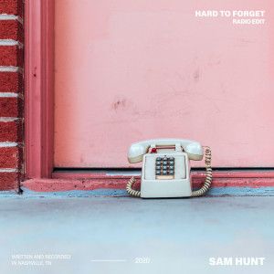 ดาวน์โหลดและฟังเพลง Hard To Forget (Radio Edit) พร้อมเนื้อเพลงจาก Sam Hunt