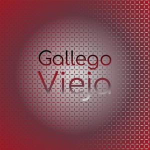 Various的专辑Gallego Vieja