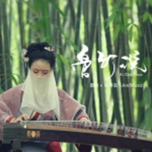 廚子和戲子的專輯網劇淑女飄飄拳-國風系列