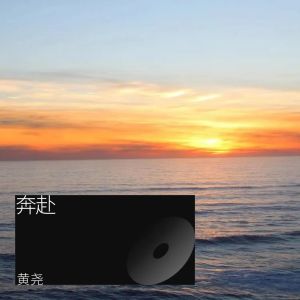 Listen to 奔赴 (完整版) song with lyrics from 黄尧