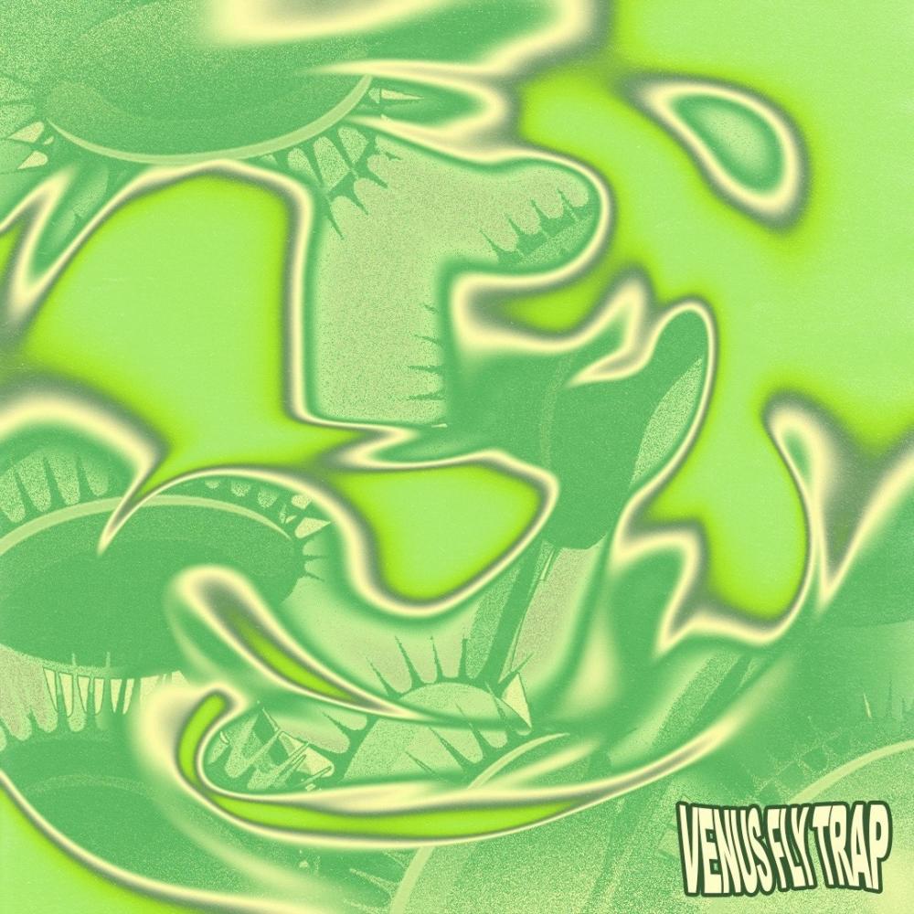 Venus Fly Trap