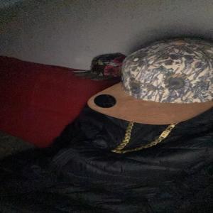 收聽DJ KEVIIN PROD的vem pro meu setor (feat. mc gw, mc fabinho da osk & mc saci) (Explicit)歌詞歌曲