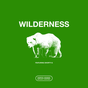 Listen to Wilderness (Explicit) song with lyrics from Surb