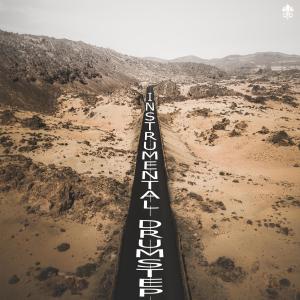 Listen to Hiraeth song with lyrics from C0NTR4IL