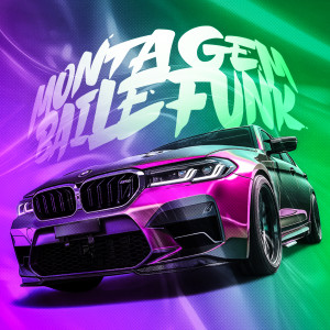Listen to MONTAGEM BAILE FUNK song with lyrics from DJ VETA3