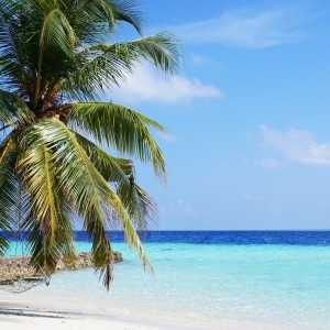 ดาวน์โหลดและฟังเพลง Serenity Waves พร้อมเนื้อเพลงจาก Sounds of Nature Noise