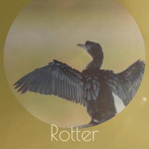 Album Rotter from Various