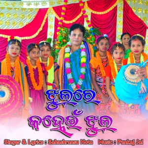 Album Jhulre Kanhei Jhul (New Odia Krishna Bhajan) from Sahashransu Hota
