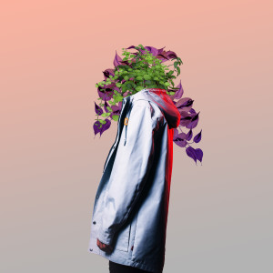 PLÜM的專輯Slow Down