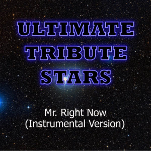 ดาวน์โหลดและฟังเพลง Pitbull feat. Akon - Mr. Right Now (Instrumental Version) พร้อมเนื้อเพลงจาก Ultimate Tribute Stars