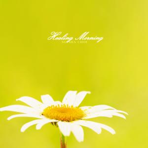 Album When The Sun Shines from Sophia Choi