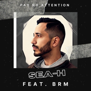 Listen to Pay No Attention song with lyrics from Sea-H