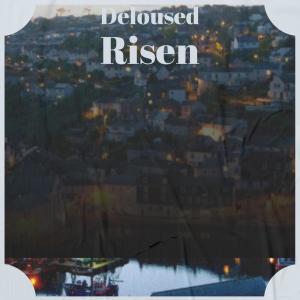 Various的专辑Deloused Risen