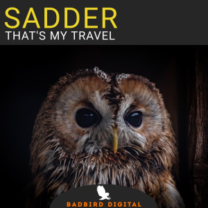 Listen to That's My Travel (Wayne Madiedo Remix) song with lyrics from Sadder