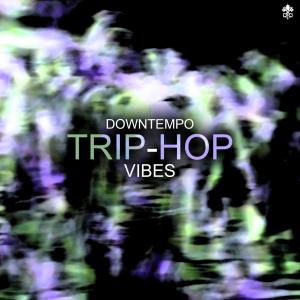 Album Downtempo Trip-Hop Vibes oleh Various