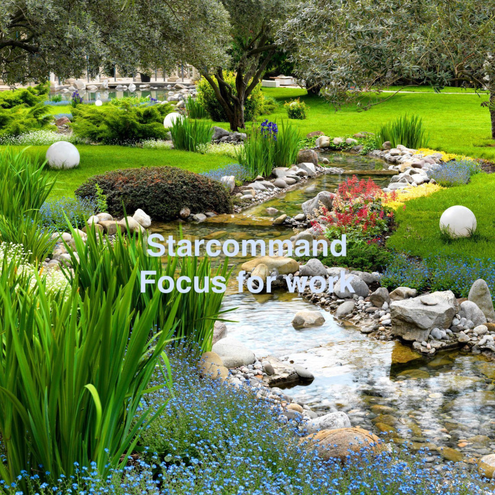 Starcommand(Focus for Work)
