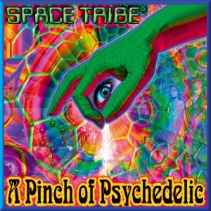A Pinch of Psychedelic dari Space Tribe
