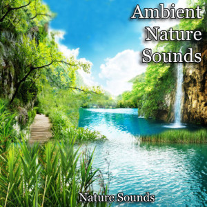 收聽Nature Sounds的Calming Tranquil Sea歌詞歌曲
