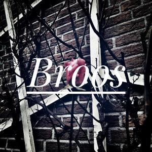 Album Hoogverraad from Broos