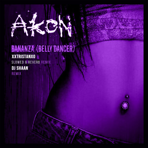 收聽Akon的Bananza (Belly Dancer) (DJ Shaan Remix)歌詞歌曲