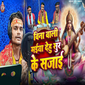 Album Vina Wali Maiya Dehu Sur Ke Sajai from Satish Yadav