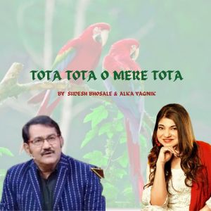 Sudesh Bhosle的專輯Tota-Tota-O-Mere-Tota