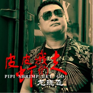 Album 皮皮虾我们走 from 龙晓飞