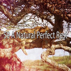 Listen to Close Your Eyes song with lyrics from Deep Sleep Relaxation