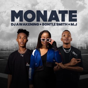 Listen to Monate song with lyrics from Dj Awakening