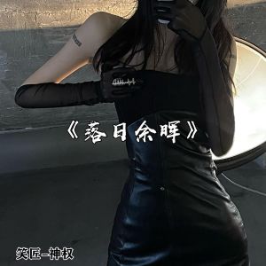 Album 落日余晖 from 笑匠