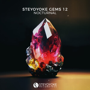 Various Artists的專輯Steyoyoke Gems Nocturnal 12