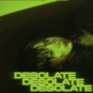 收听Niagata的Desolate歌词歌曲