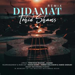 Listen to Didamat song with lyrics from Tohid Shams