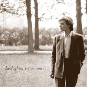 ดาวน์โหลดและฟังเพลง Brilliant Trees (Remastered 2003) พร้อมเนื้อเพลงจาก David Sylvian