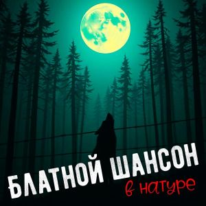 Listen to Да гори оно огнём song with lyrics from Ильдар Южный