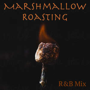 Various Artists的专辑Marshmallow Roasting R&B Mix